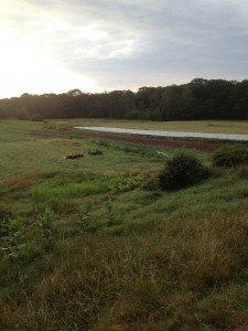 Farm Start Beach to Beacon