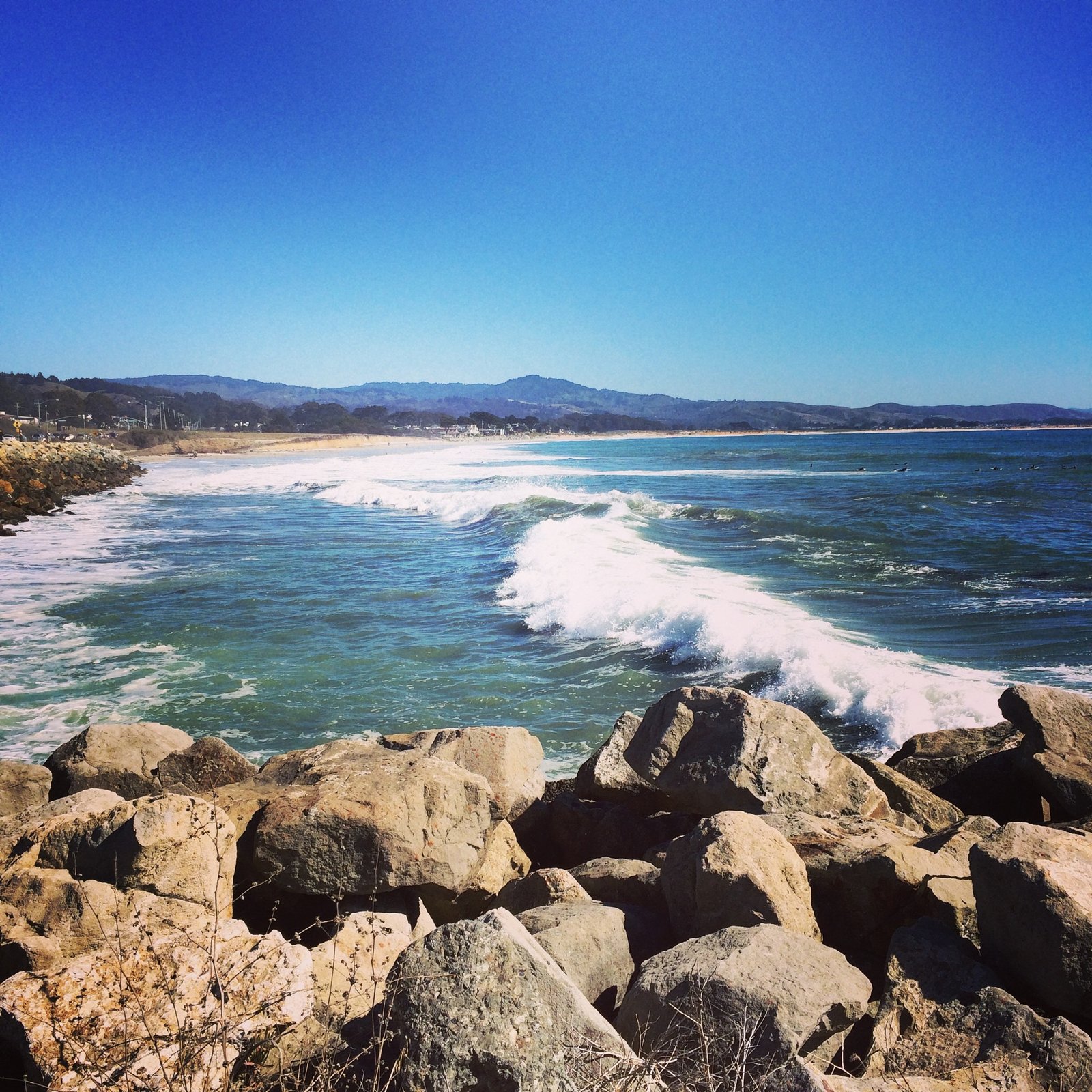 Napa