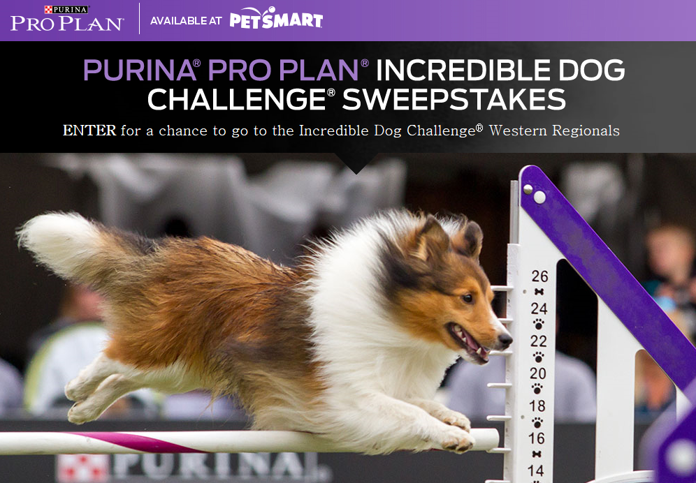 Incredible Dog Challenge