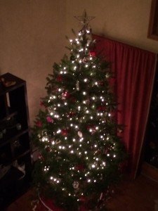 IMG_8403.JPG