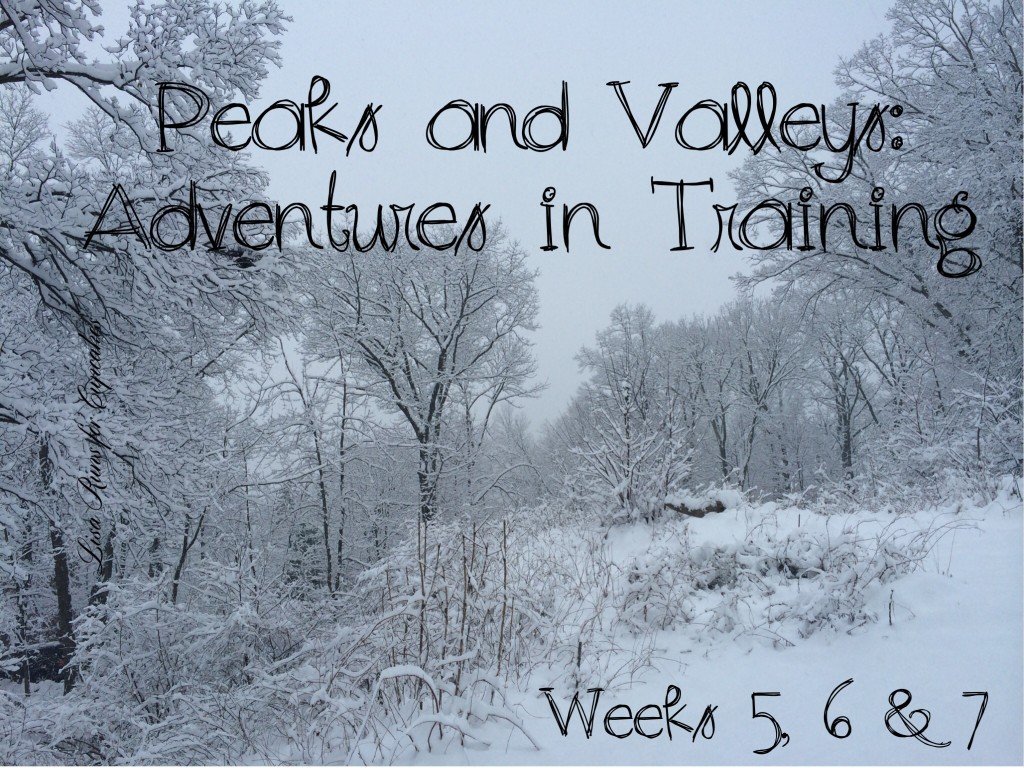 Peaks and Valleys: Adventures in Training Weeks 5, 6 & 7