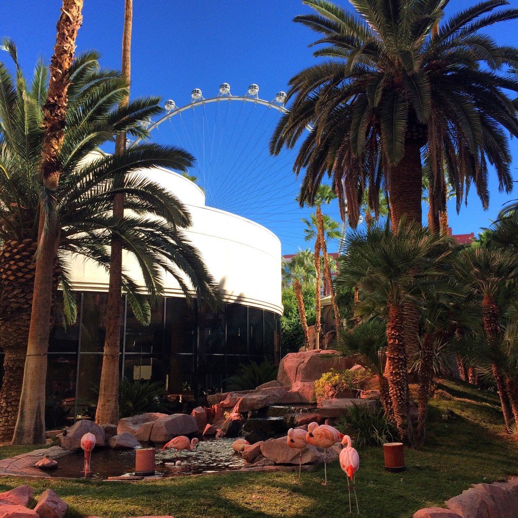 Ragnar Vegas with Nuun Hydration